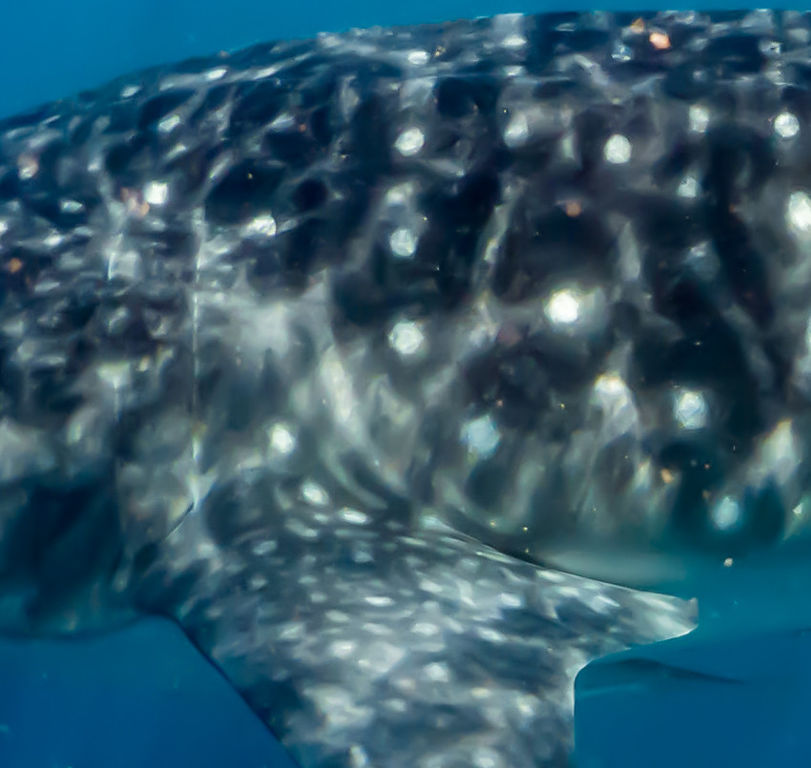 581ad61c-4138-4af7-899e-9d0422cd5993