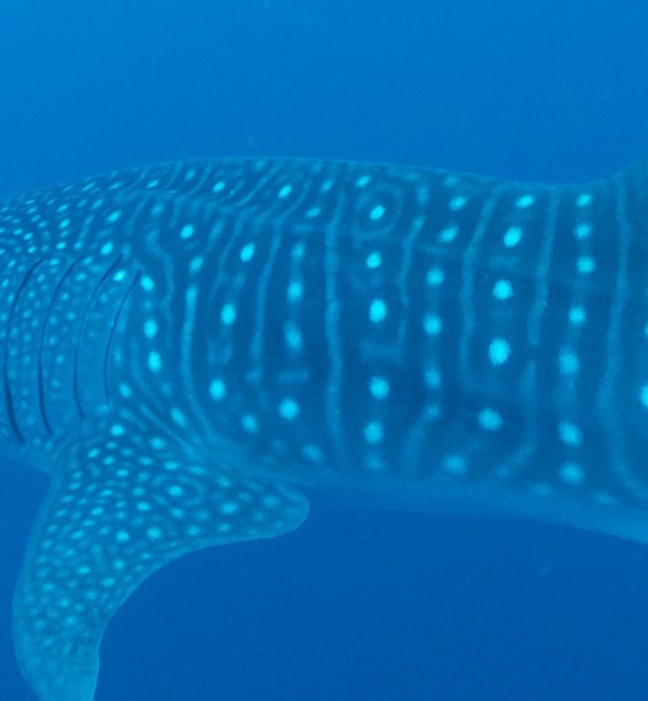 cac9a3af-9300-43e6-aa31-6d419229b11f