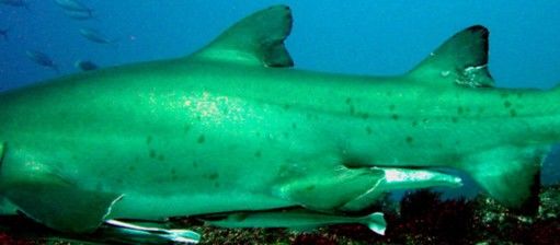 1ff7f3bd-df21-4039-a3ab-cfa077be73f2