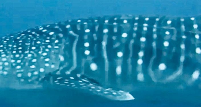 64a8c9f0-c39e-44e3-8725-9908fb6ce51a