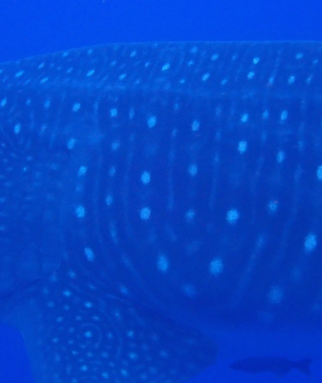 84645220-c67a-4188-bbbf-8b4292210c9f