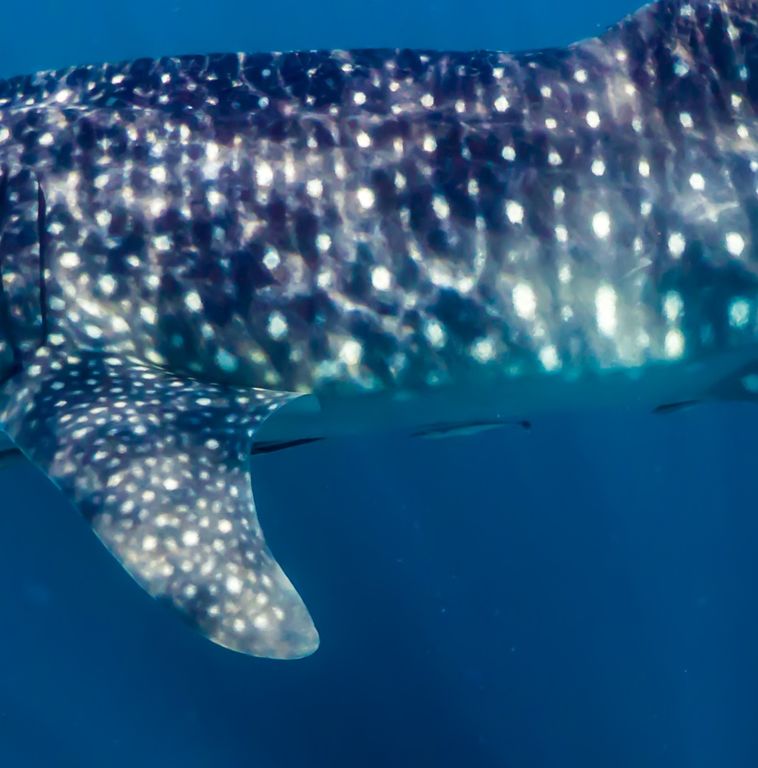 c4425c33-cebe-465d-b872-05aa672dc8c8