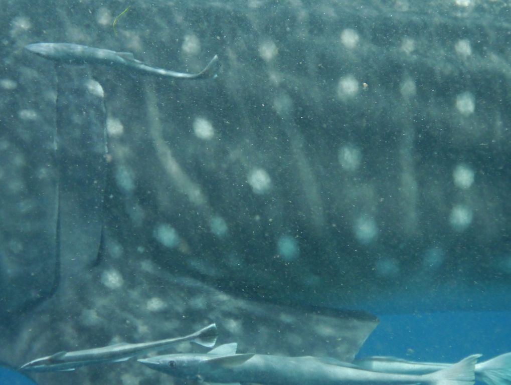 b124358c-2439-49c6-9e1a-e3936a61c465