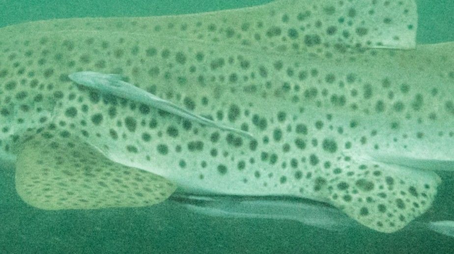 11cbe84c-0b7f-4b0c-a361-4bb280e38d75