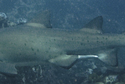 34f3f4b1-7012-4cdc-8e5d-cfe6bc826bba