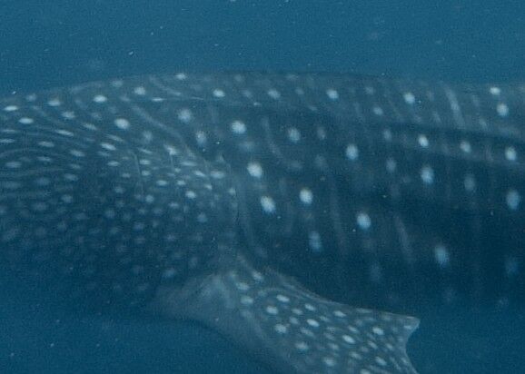 8c6f3755-d157-4352-abbf-76500e13ae7d