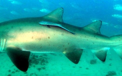 e8596399-47e2-4857-b1cf-8e3bb38003a9