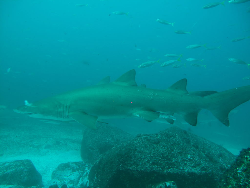 9e1d6635-9cdd-49e5-9714-e011e84d5272