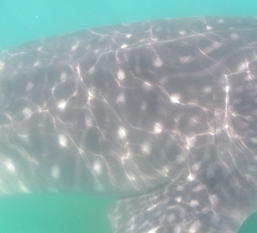 e0308227-7129-4f07-a2e7-044a12f63678