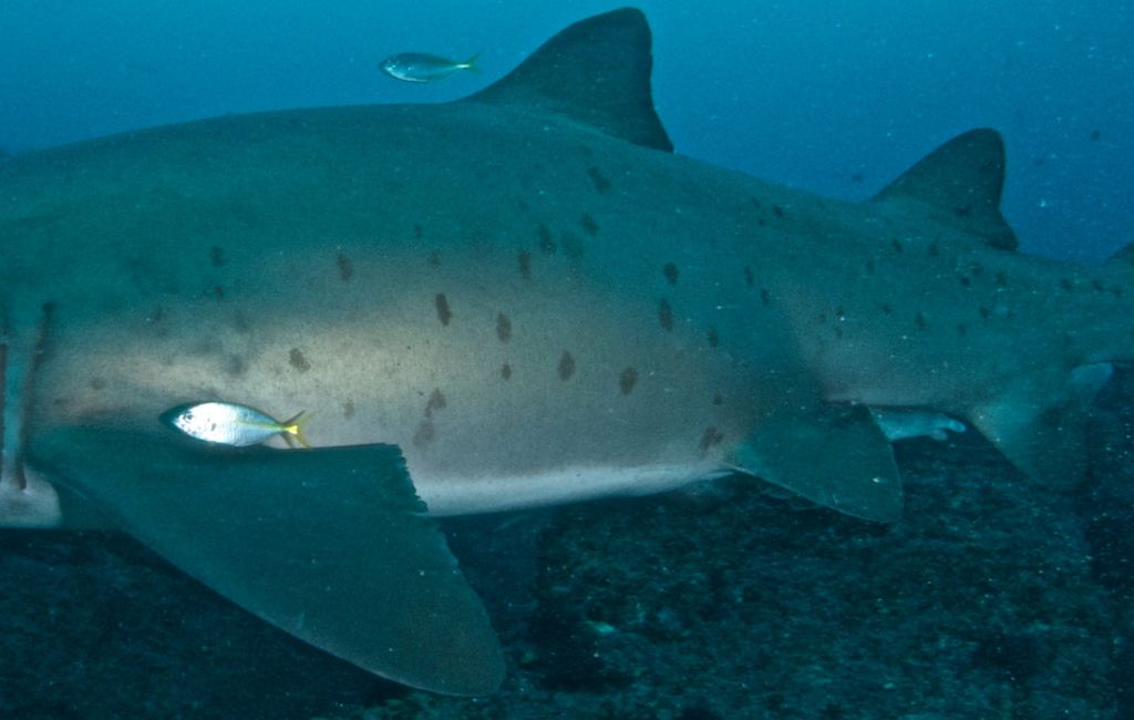 899660c3-7935-4db6-a3a2-535df346045f