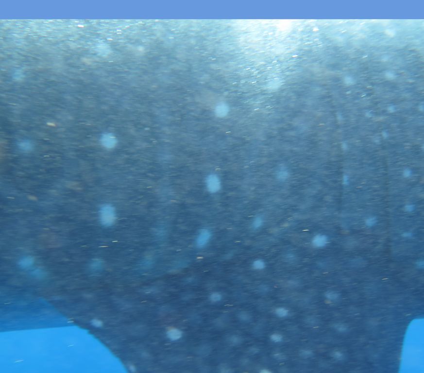 5ac5bb89-1d8a-4b28-bc38-2bc9a9caf57a