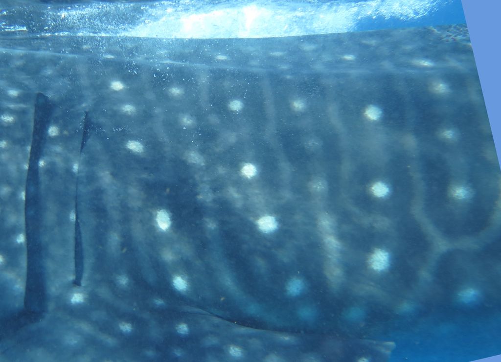 5ac5bb89-1d8a-4b28-bc38-2bc9a9caf57a