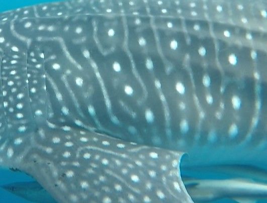 f90f9989-2732-4ce7-9428-963659d4f30b