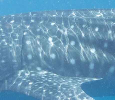 90b9fb4b-1d4a-4ca2-ba9a-f980fcf715b8