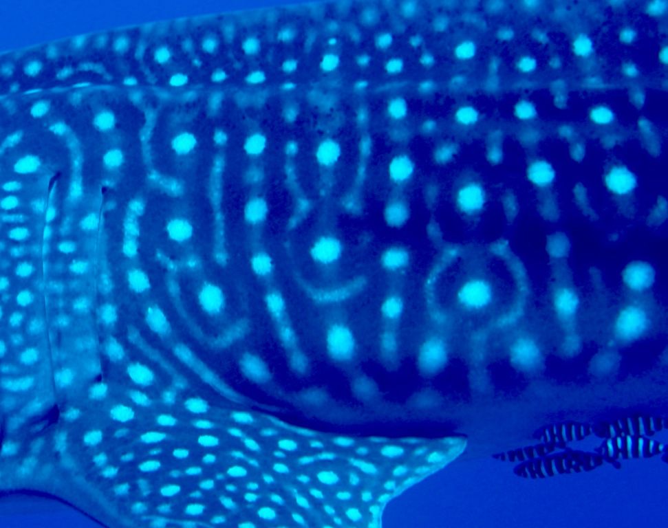 eff40685-dc2a-4b5b-af4c-8903f62a98ed