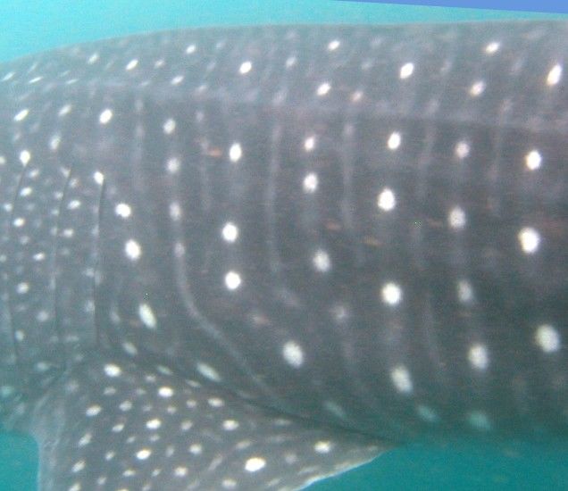 2bc6ea82-3614-405b-8003-a75fb0341c6c