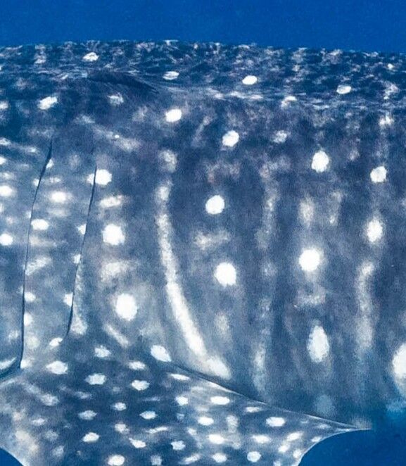 39d3ddf2-8bcc-4c53-887c-8fc1cf802e6b