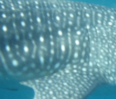 889935eb-dfb2-4d57-91a3-436e8dce957b