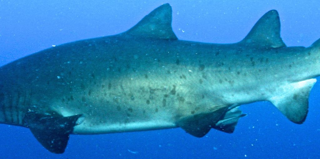 3fd3d7fb-8bba-4d2f-8e66-4daba49fab33