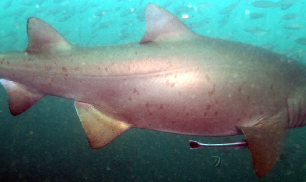 3fd3d7fb-8bba-4d2f-8e66-4daba49fab33