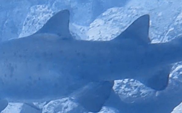 aefa7756-6249-49df-b4e8-147f04377709