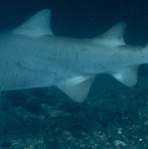 fd9f9ca6-43a1-4d98-a270-37d54ff4961e