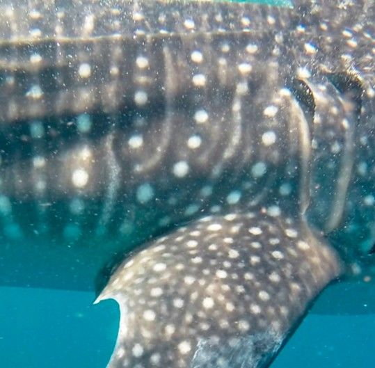 3fed9289-3e96-4abc-97dc-394dda1f49fa