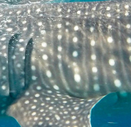 3fed9289-3e96-4abc-97dc-394dda1f49fa