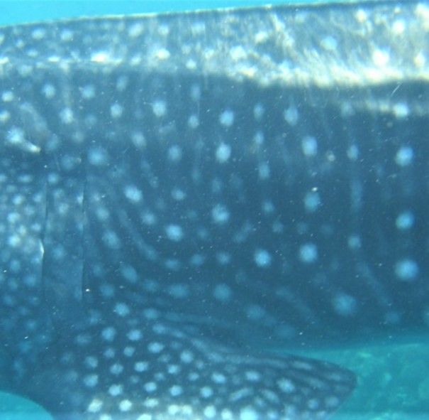 ff227211-b078-49dd-b5aa-040c45a1c6ea