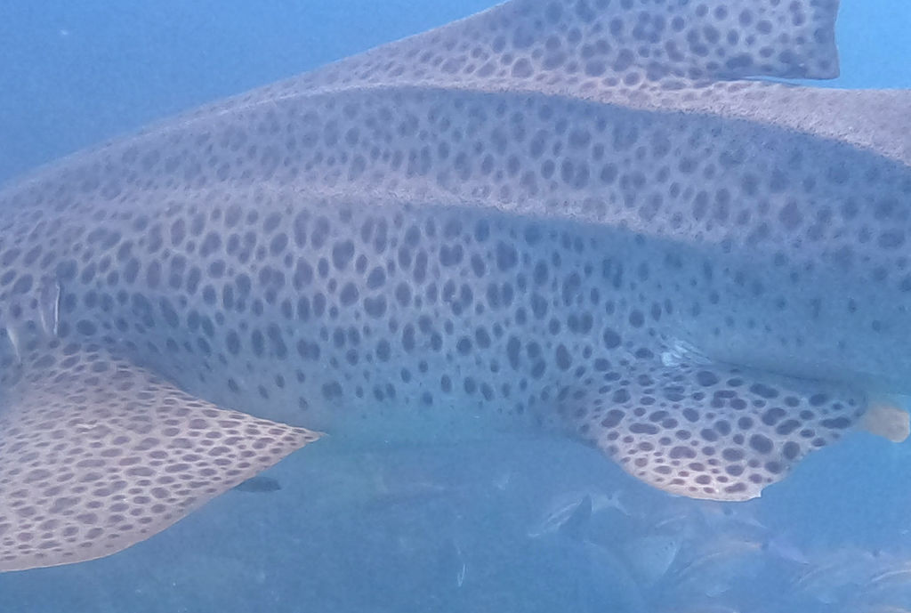 7d94b8d6-bd84-494f-8416-0349a17adee0