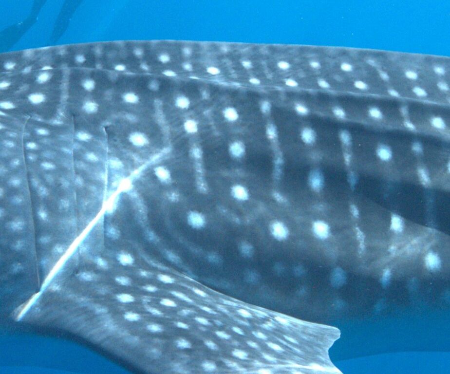 17f56244-42cb-4450-be7e-b427f4247676