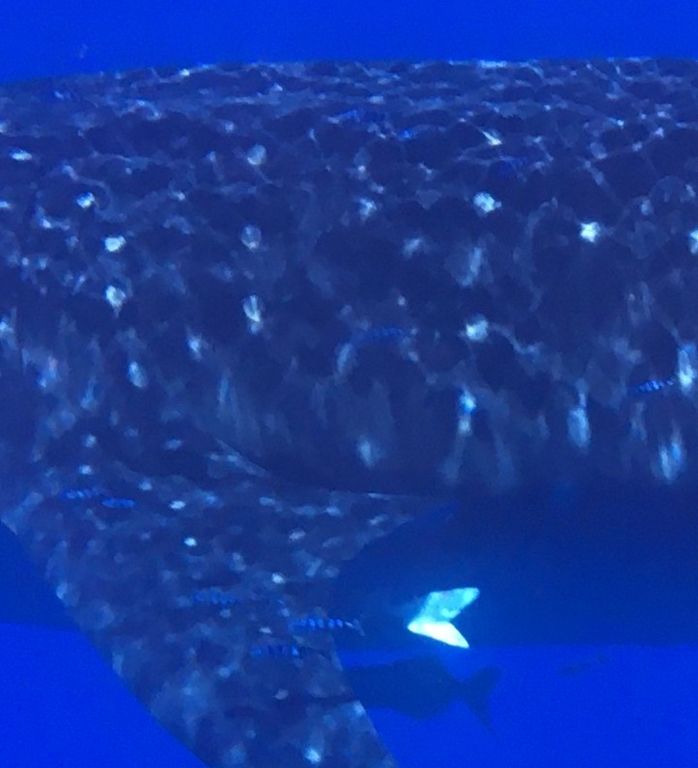 331e88a0-40b9-43b5-baf7-12af1c2a756d