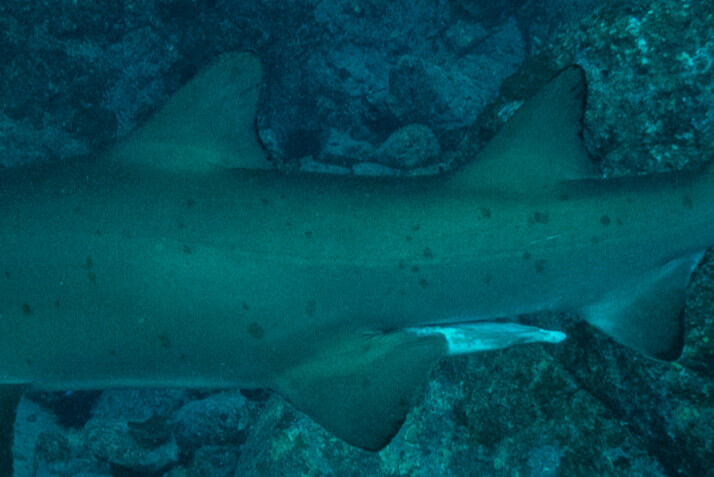 93d091cb-12e1-4341-92d2-4a54f9a3a92e