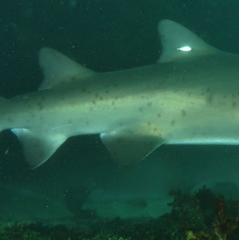 6fabf199-4d0f-4edd-bb9d-99376e14cf62