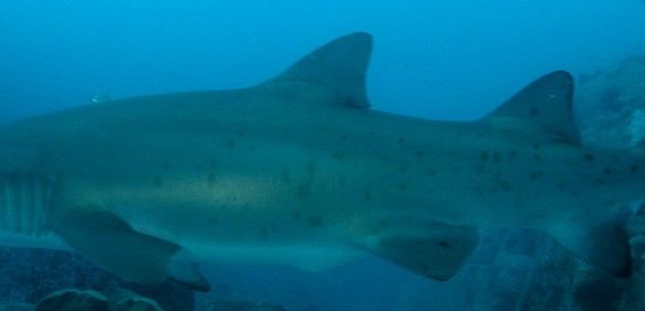 35f51a25-55f6-43d2-92ab-c0a958d22e55