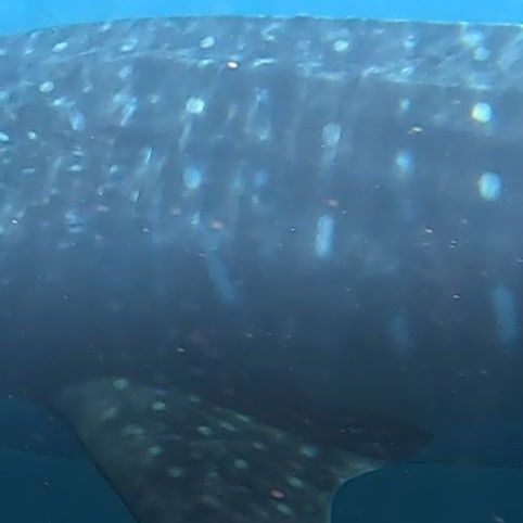 05e95aa7-86d2-4542-ae88-922ffac01003