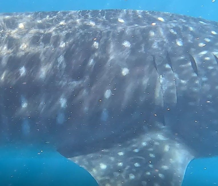 05e95aa7-86d2-4542-ae88-922ffac01003