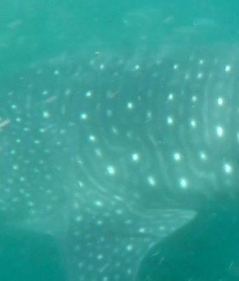 dcc666d8-664a-43a3-bba4-04a94f7bff40