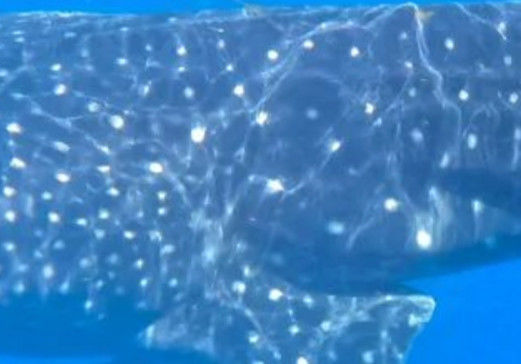 f371b8b8-271f-4de7-b55b-234ec0c6644c