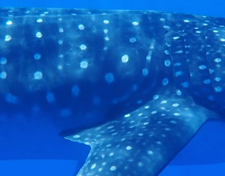 d61373ec-89de-48b5-b47d-550004317c1e