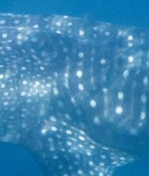 94f1f675-dc18-4244-b43d-24e1415ad3cf