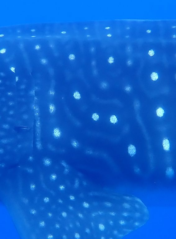 ca0455ed-bc6d-4e5a-ac88-7e7e7fb66cb7