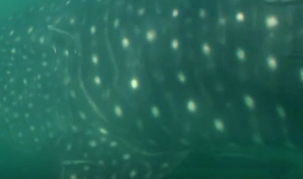 a4d24ffb-82eb-4627-a1eb-1e3655f50c5d