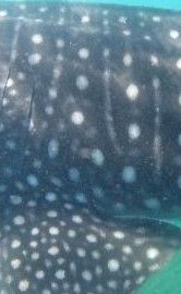 93fb803f-205b-405c-8579-8b34c1bda13d