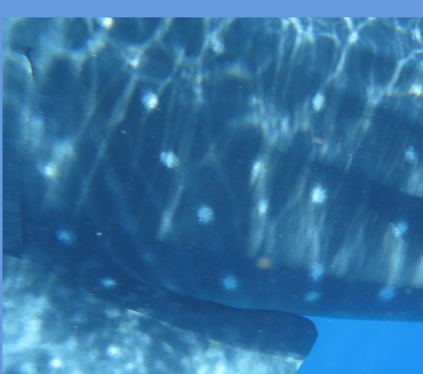 850756e2-cde0-4920-9efb-3d4292bf62b2