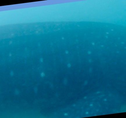 9f13ce3b-6118-4498-87ca-d96be039cee0