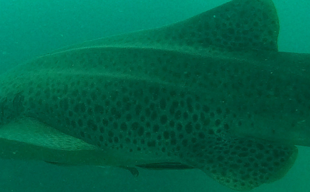 16ed776a-ad44-46fe-87cc-8f715536353b