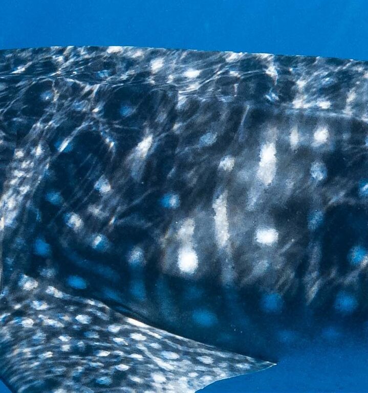 496e5fab-3a5c-4761-8f81-2eab4cfa22df