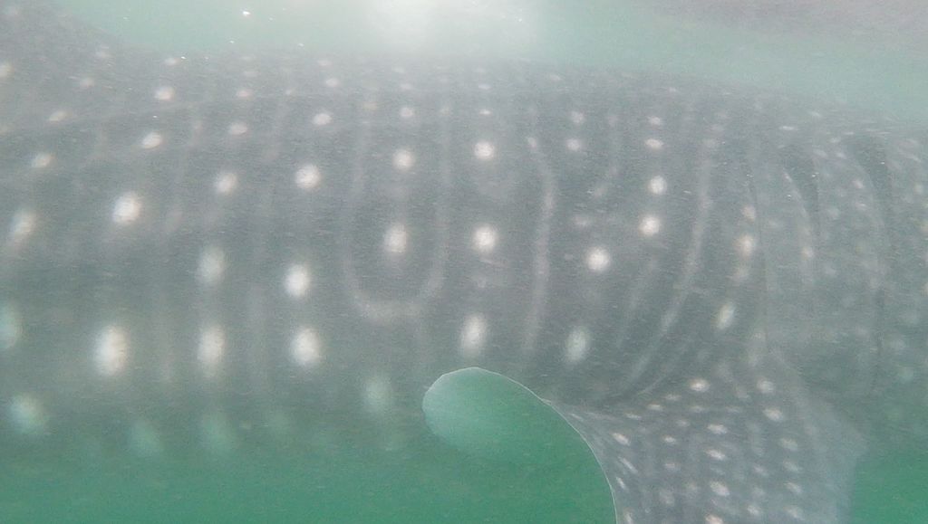 551035d6-5ed7-43ae-9c09-c7c8f3d87a2c