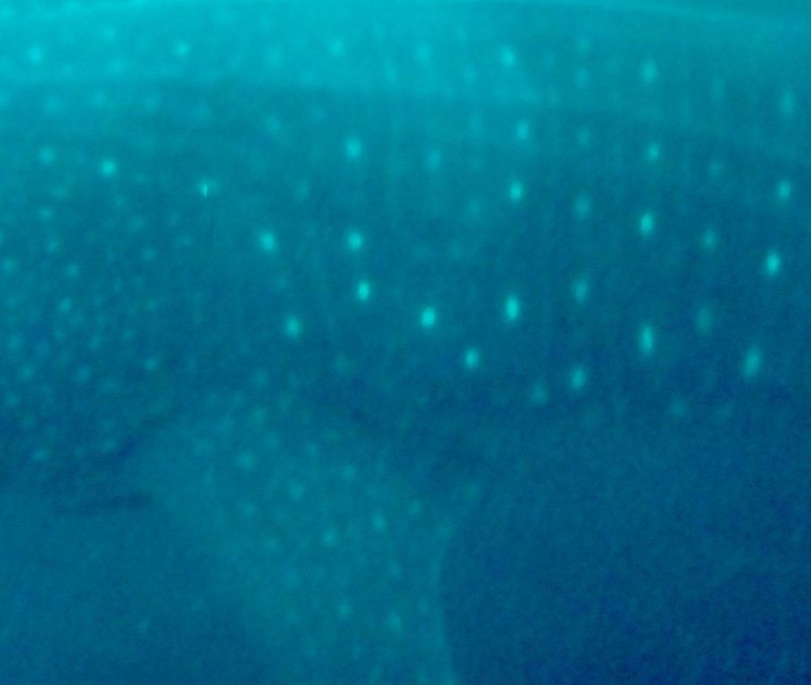 de640cd1-0ff1-4d67-9465-7651a54a7602